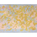 BeaufordDelaney55000