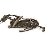 DeborahButterfield157500